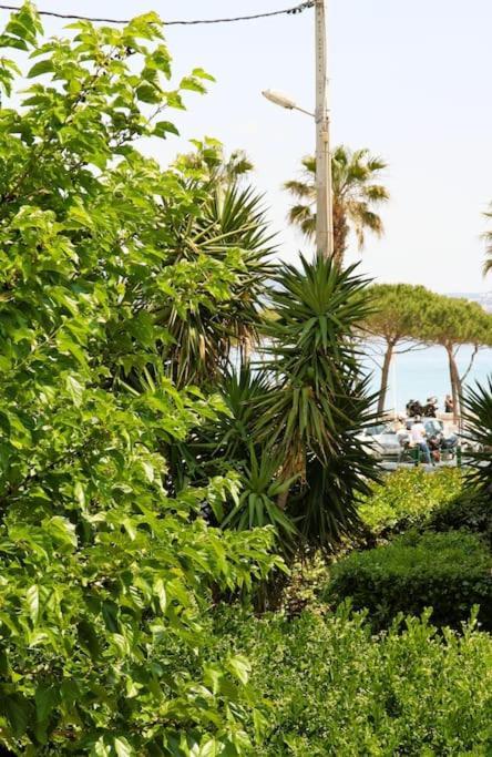 Blue Summer Vibes Duplex Studio For 4P, Ac, Sea View, Parking, Beach At 50M, Spa Access -3 La Ciotat Exterior foto